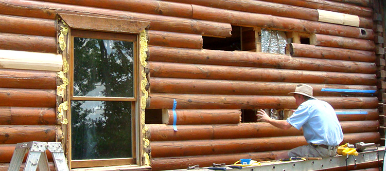 Log Home Repair Dallas County, Alabama