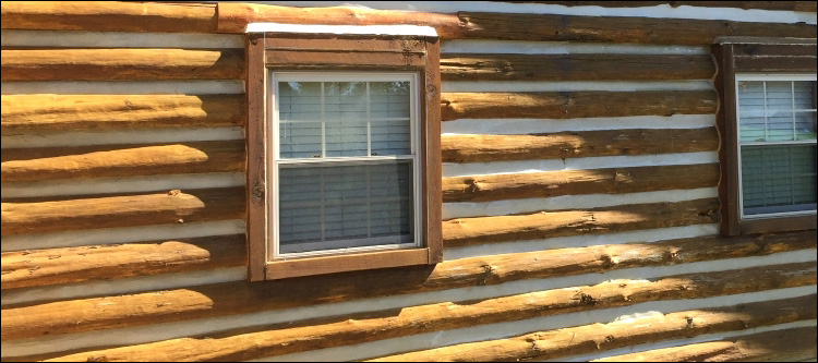 Log Home Whole Log Replacement  Dallas County, Alabama